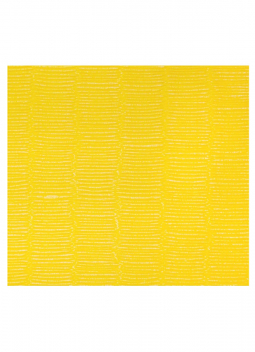 FUJI_Mats_Tatami_2x1_yellow_3_2.jpg