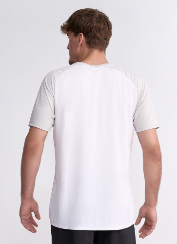 IPPONGEAR_Iconic_Teamwear_T_Shirt_Men_grey_Distel_back.jpg