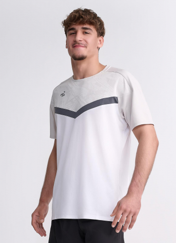 IPPONGEAR_Iconic_Teamwear_T_Shirt_Men_grey_Distel_half.jpg