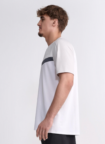 IPPONGEAR_Iconic_Teamwear_T_Shirt_Men_grey_Distel_side.jpg