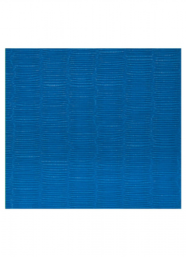 FUJI_Mats_Tatami_2x1_blue_3_2.jpg