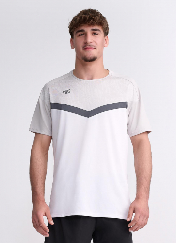 IPPONGEAR_Iconic_Teamwear_T_Shirt_Men_grey_Distel_front.jpg