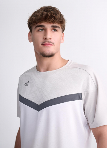 IPPONGEAR_Iconic_Teamwear_T_Shirt_Men_grey_Distel_emotion.jpg